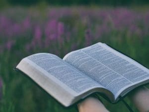 Reading the Bible with the imagination