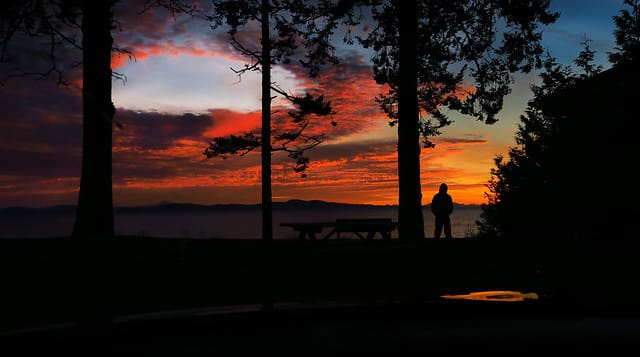 A man becoming mindful in nature's beauty